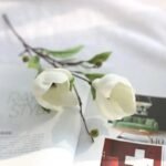 magnolia parfum floral delicat et elegant blanc 674 1