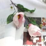 magnolia parfum floral delicat et elegant rose clair 200 1