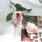 Magnolia - Parfum Floral Délicat Et élégant - Rose Clair