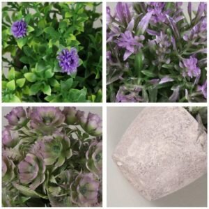 Plante De Lierre Pour Décoration Intérieure Et Extérieure