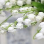 muguet artificiel elegance et fraicheur durable pour votre decor 200 1