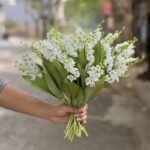 muguet parfum floral delicat et frais 470 1
