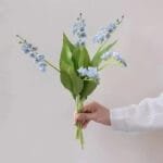 Muguet: Parfum Floral Délicat Et Frais - Bleu