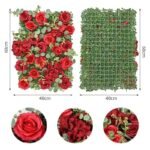 Plantes Succulentes D’intérieur Pour Un Décor Vivant