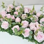 Plantes Succulentes D’intérieur Pour Un Décor Vivant