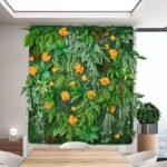 Plantes Succulentes D’intérieur Pour Un Décor Vivant