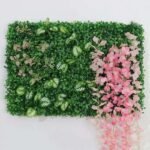 Plantes Succulentes D’intérieur Pour Un Décor Vivant