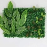 Plantes Succulentes D’intérieur Pour Un Décor Vivant