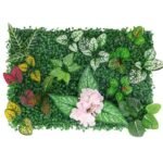 Plantes Succulentes D’intérieur Pour Un Décor Vivant