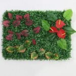 Plantes Succulentes D’intérieur Pour Un Décor Vivant