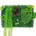Plantes Succulentes D’intérieur Pour Un Décor Vivant