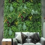 Plantes Succulentes Pour Une Touche De Verdure élégante