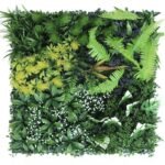 Plantes Succulentes Pour Une Touche De Verdure élégante