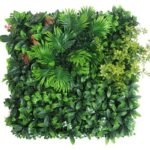 Plantes Succulentes Pour Une Touche De Verdure élégante