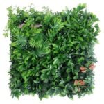Plantes Succulentes Pour Une Touche De Verdure élégante
