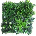 Plantes Succulentes Pour Une Touche De Verdure élégante