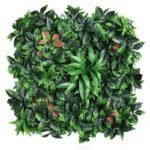 Plantes Succulentes Pour Une Touche De Verdure élégante