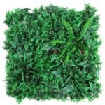 Plantes Succulentes Pour Une Touche De Verdure élégante
