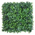 Plantes Succulentes Pour Une Touche De Verdure élégante