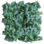 Plantes Succulentes Pour Une Touche De Verdure élégante