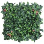 Plantes Succulentes Pour Une Touche De Verdure élégante