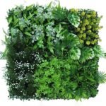 Plantes Succulentes Pour Une Touche De Verdure élégante