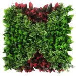 Plantes Succulentes Pour Une Touche De Verdure élégante