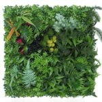 Plantes Succulentes Pour Une Touche De Verdure élégante