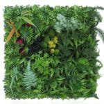 Mur Végétal: Décoration Verticale En Plantes Naturelles - l