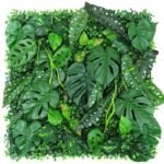 Poinsettia : Plante Festive Et Décorative Pour Votre Intérieur