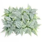 mur vegetal en feuillage artificiel pour decoration interieure h 201 1