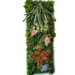 Mur Végétal: Faux Mur En Plantes Pour Décoration Intérieure - k