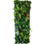 Mur Végétal: Faux Mur En Plantes Pour Décoration Intérieure - l