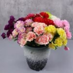 oeillet elegance florale pour toutes occasions 271 1