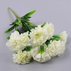 oeillet elegance florale pour toutes occasions blanc 862 1