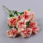 Oeillet - élégance Florale Pour Toutes Occasions - Pêche