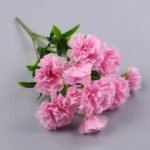 oeillet elegance florale pour toutes occasions rose 812 1