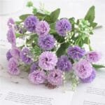 Oeillet: Fleur Délicate Au Parfum Envoûtant