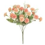 Oeillet: Fleur Délicate Au Parfum Envoûtant - Champagne