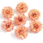 Oeillet: Fleur Délicate Pour Vos Bouquets Et Décorations - Champagne / 10