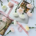 Oeillet - Fleur élégante Pour Tous Vos Arrangements Floraux