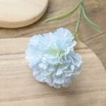 Oeillet - Fleur élégante Pour Tous Vos Arrangements Floraux - Bleu Clair / 6 Fleurs