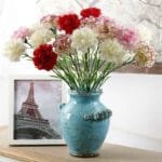 Oeillet: Fleurs Carnation Pour Une Touche élégante à Votre Décor