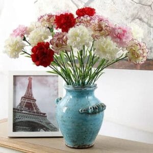 Oeillet: Fleurs Carnation Pour Une Touche élégante à Votre Décor