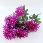 Orchidée Chrysanthème - élégance Florale Pour Votre Intérieur