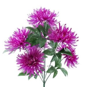 Orchidée Chrysanthème - élégance Florale Pour Votre Intérieur