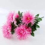 Orchidée Chrysanthème - élégance Florale Pour Votre Intérieur