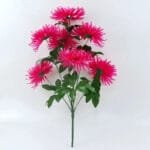 Orchidée Chrysanthème - élégance Florale Pour Votre Intérieur - Fuchsia