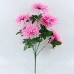 Orchidée Chrysanthème - élégance Florale Pour Votre Intérieur - Rose
