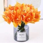 Orchidée: élégance Et Beauté Florale Pour Votre Intérieur